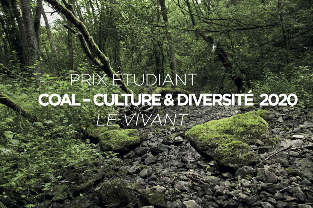 PRIX ÉTUDIANT COAL – CULTURE & DIVERSITÉ 2020 – ANNONCES DES LAURÉATS