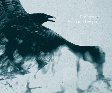 Sortie du livre « En plein vol. Vivre et mourir au seuil de l’extinction »